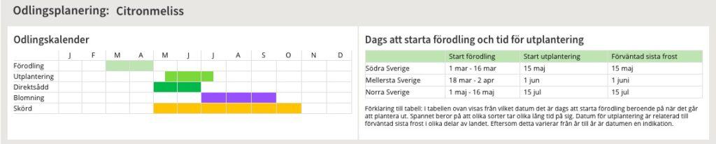 Odlingsplanen med odlingskalender och tid för start förodling och utplantering