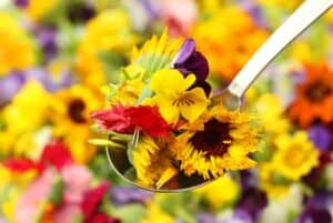 Växter med ätbara blommor på en sked