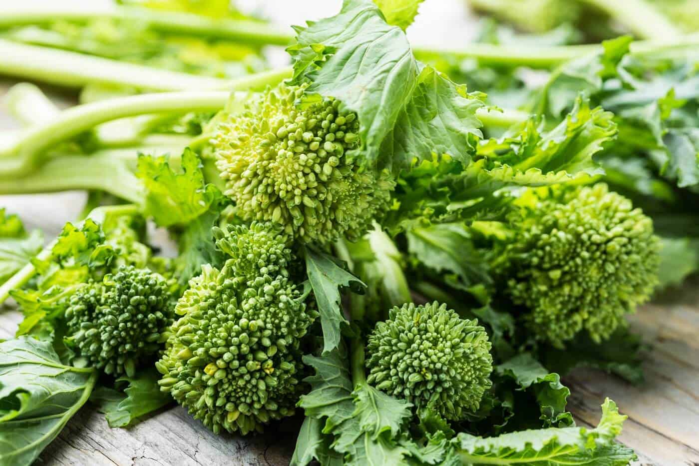 Läs mer om artikeln Broccolirybs