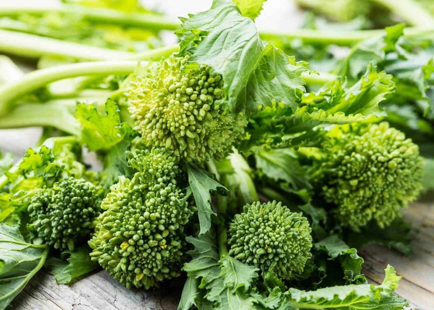 broccolirybs Odling av broccolirybs, knippe av skördade broccolirybs på ett bord